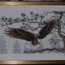 Majestic Eagle finally finished  into 12 X 16 ready made frame